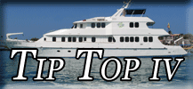 Tip Top IV button